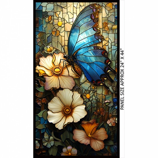 Windows of Wonder